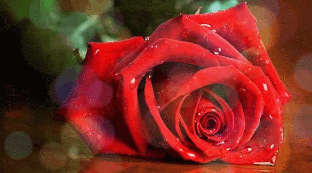 Красиві анімовані картинки-привітання З Днем народження