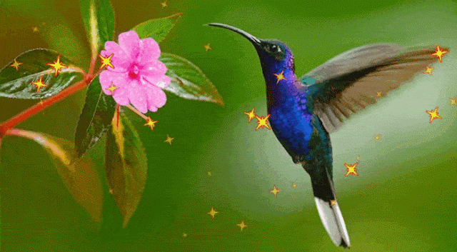 Цитати Ліни Костенко Цитати Ліни Костенко