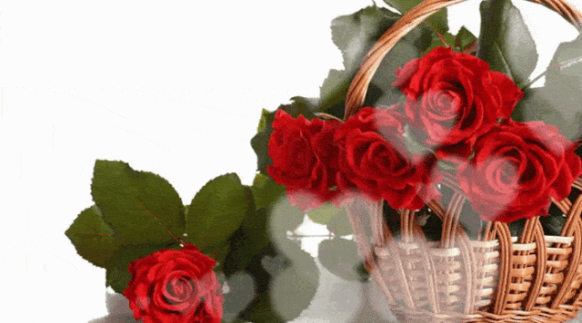 Красиві анімовані картинки-привітання З Днем народження