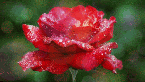 Цитати на всі випадки життя