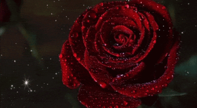 Гарного дня