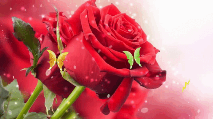 Красиві привітання польською мовою