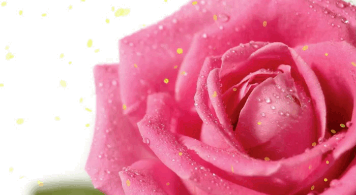 Красиві привітання польською мовою