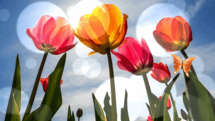 Гарного дня