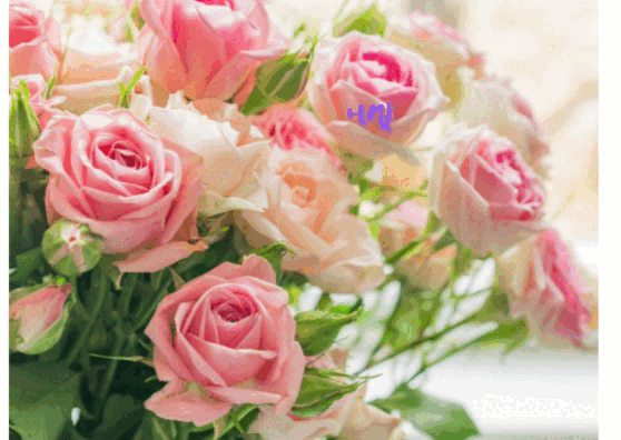 Красиві анімовані картинки-привітання З Днем народження