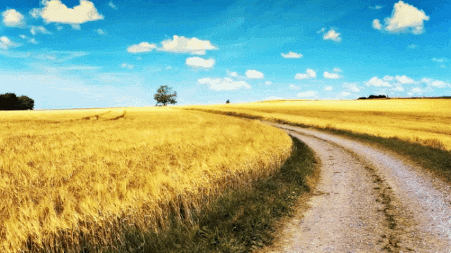 Влучні цитати Стіва Джобса Влучні цитати Стіва Джобса