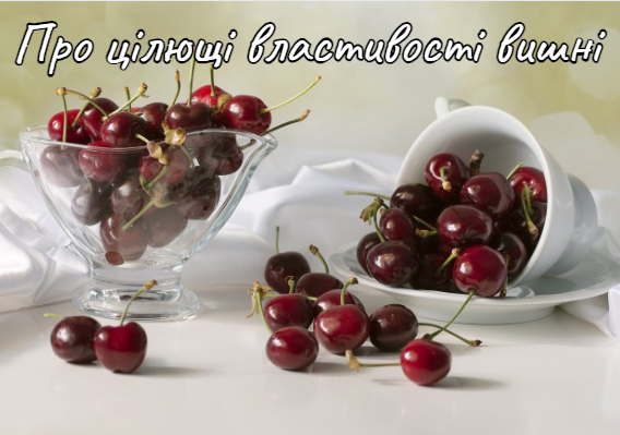 Про цілющі властивості вишні