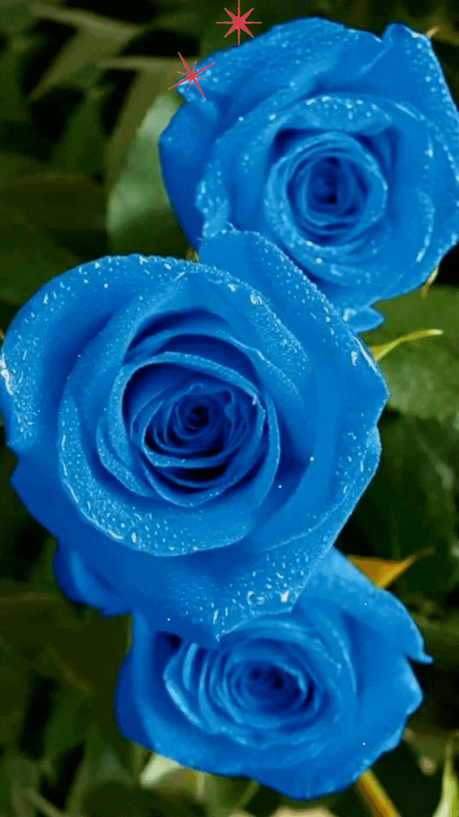 З Днем народження З Днем народження