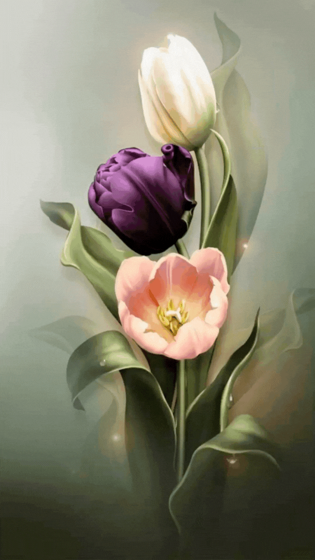 З Днем народження З Днем народження