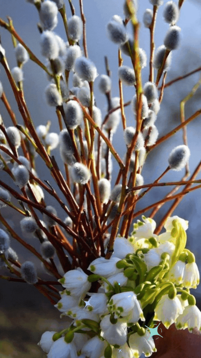 Привітання з Вербною неділею Привітання з Вербною неділею