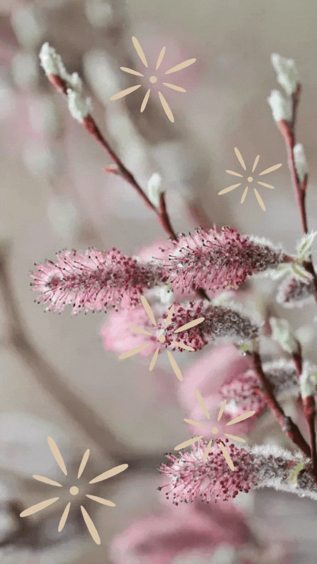 Привітання з Вербною неділею Привітання з Вербною неділею