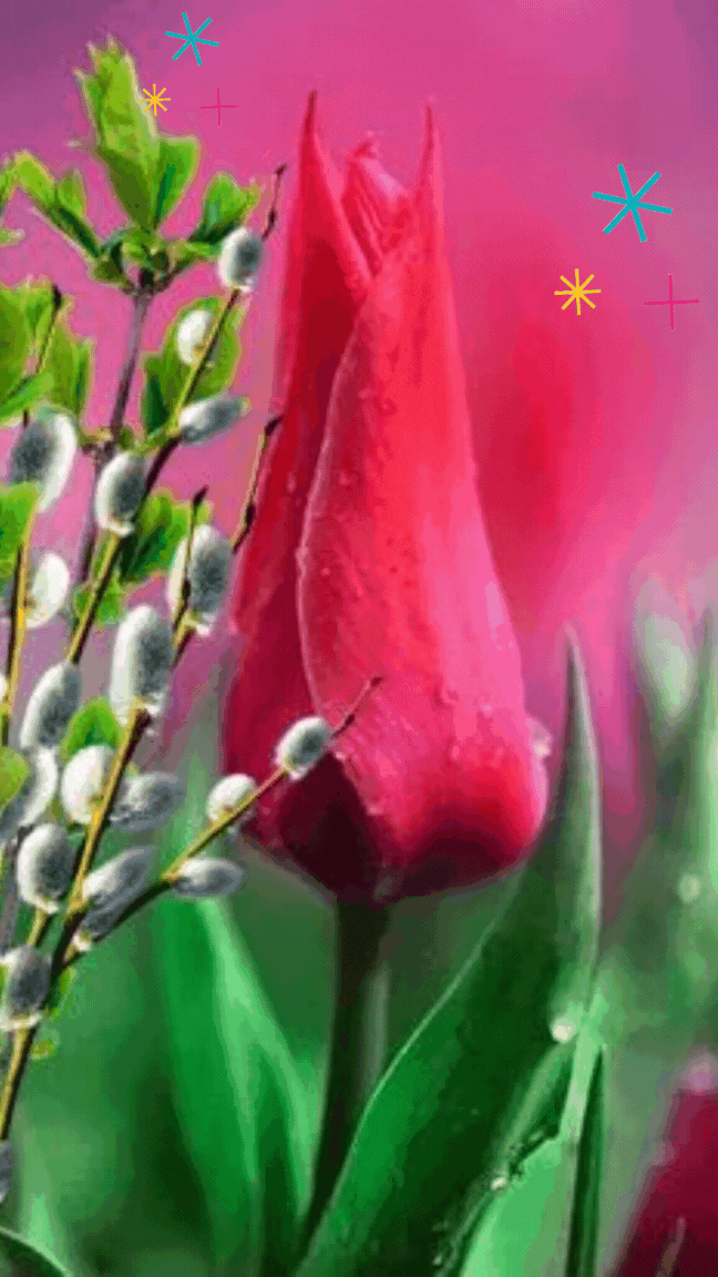 Привітання з Вербною неділею Привітання з Вербною неділею